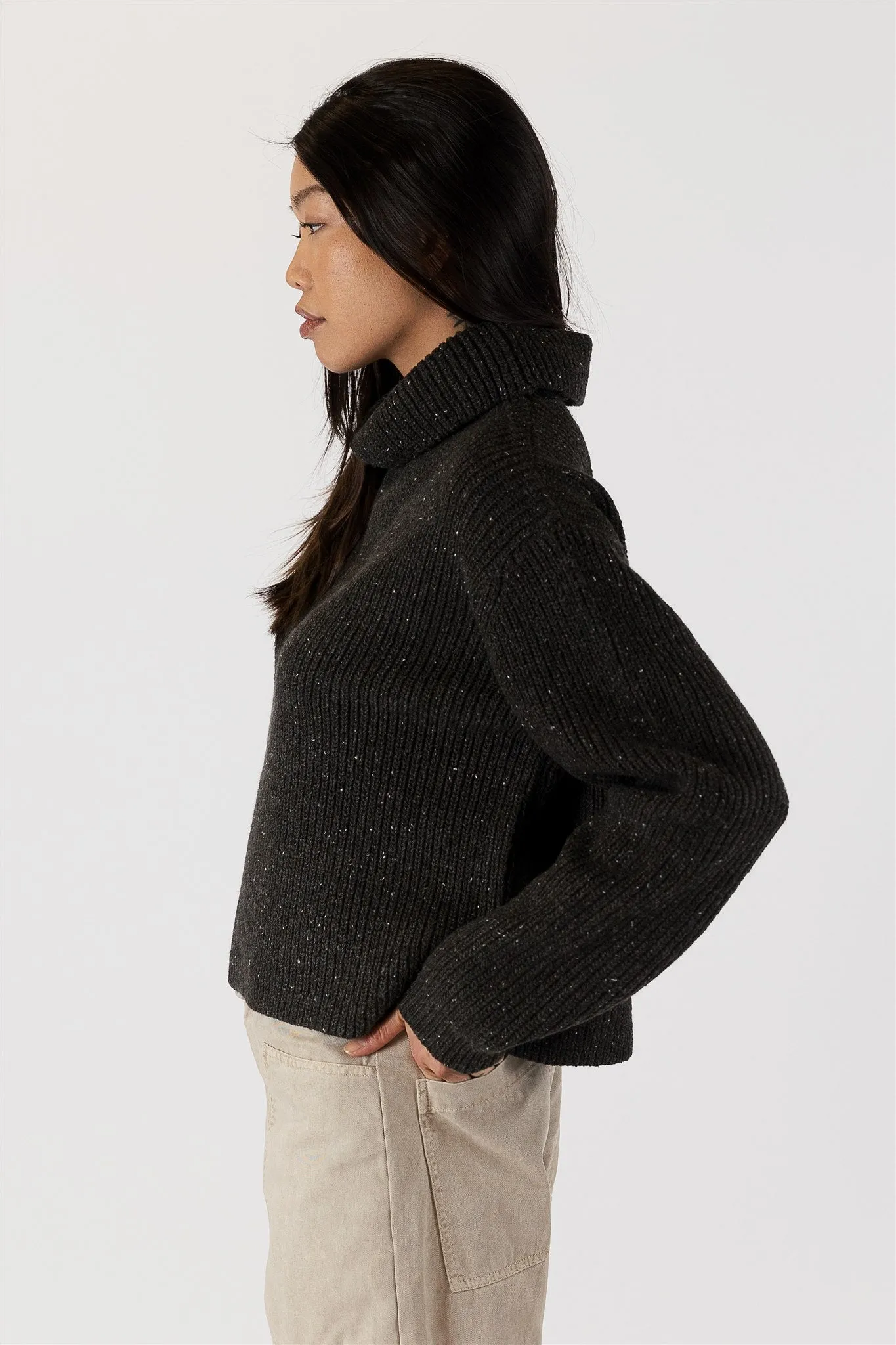 Fleck Turtleneck Sweater