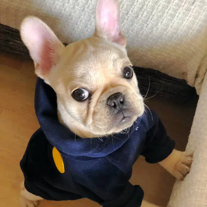 New Dog Clothe Hoodies for Winter