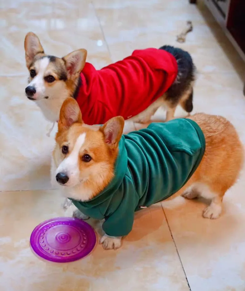 New Dog Clothe Hoodies for Winter